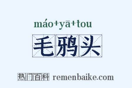 毛鸦头是什么意思的图片